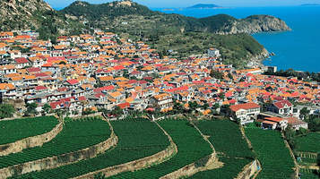 崂山茶苑生态旅游区