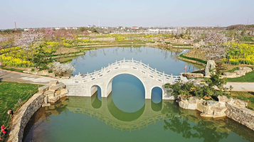 武汉湿地樱花园