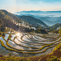 紫鹊界梯田