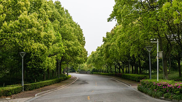 新东海高尔夫乡村俱乐部