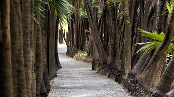南坦葵林生态湿地公园