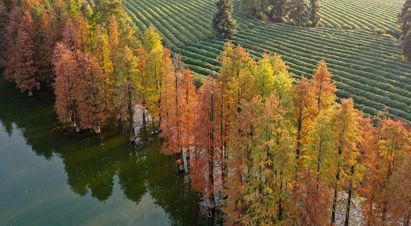 兰湖旅游度假区