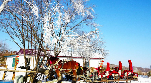 中国亚雪民俗第一村