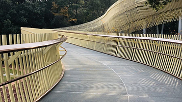 磨盘山森林公园