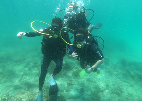 美人鱼岛潜水