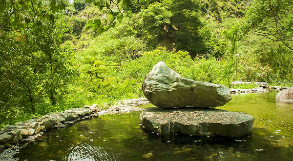 八仙山国家森林游乐区