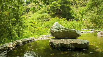 八仙山国家森林游乐区