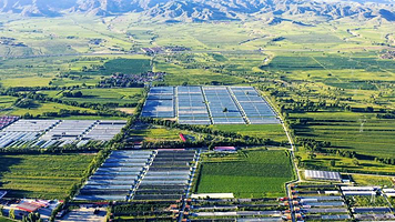 绿康源生态农业园