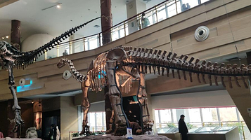 合肥市科技馆(黄山路馆区)