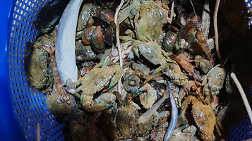 玩海家赶海基地