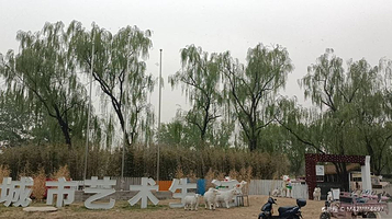 爸爸糖绵羊牧场·露营团建乐园(二河开店)