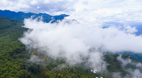 哀牢山自然保护区