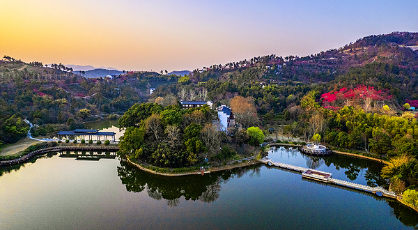 花乡茶谷旅游景区