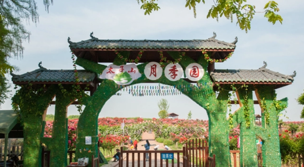 太子山月季园