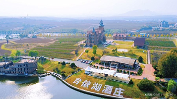 台依湖国际酒庄生态文化区