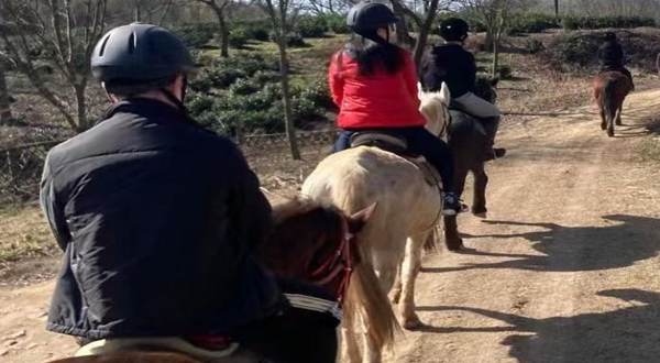 汤山竹野丛林ATV越野野骑基地