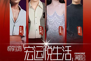 宝鸡 · 悦享宝鸡—宏运悦生活演唱会