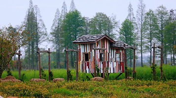 安吉山禾稻亲子农场