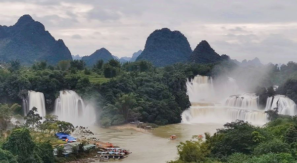 德天老木棉景区