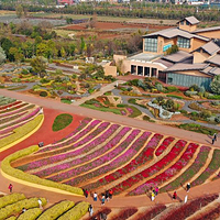 广龙抚海湾湿地公园