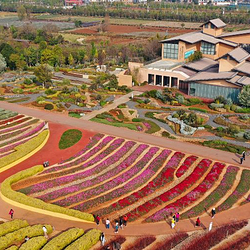 广龙抚海湾湿地公园