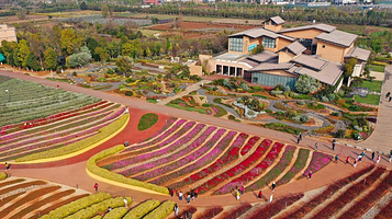 广龙抚海湾湿地公园