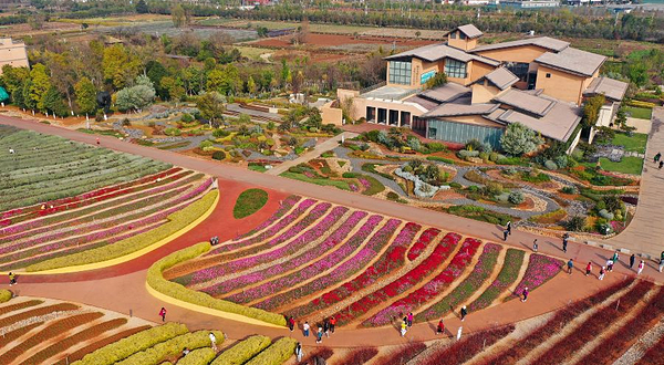 广龙抚海湾湿地公园