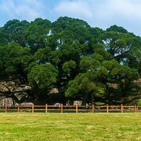 福州国家森林公园