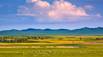 扎鲁特旗山地草原旅游区(军马场)