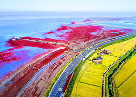 红海滩国家风景廊道
