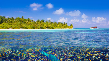 白马庄园兰德利岛