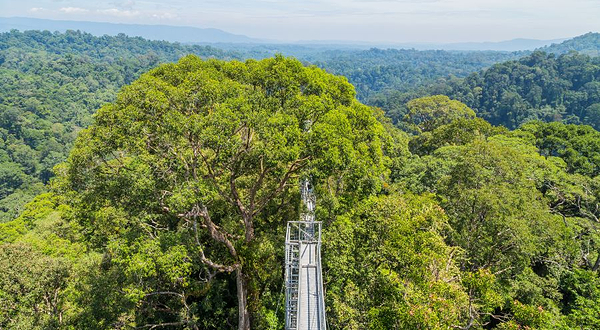 乌鲁淡布隆国家公园