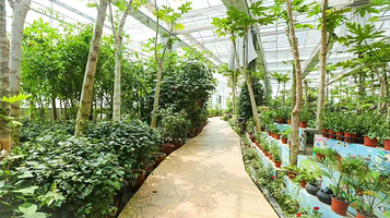 鸟语仙踪植物馆