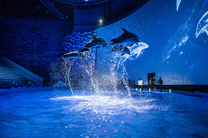 重庆融创海世界