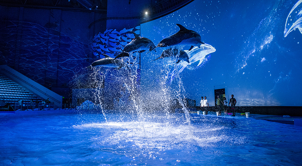 重庆融创海世界