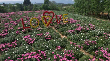 中国芍药博览园