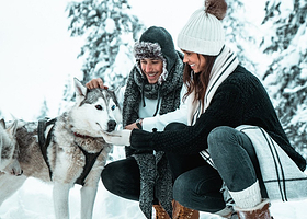 哈士奇雪橇之旅