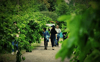 南溪湿地生态园