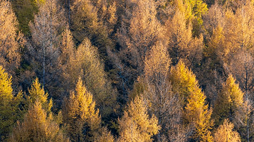 百花谷自然风景区