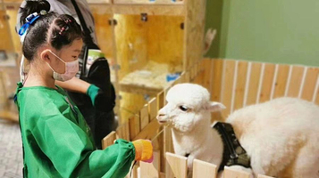 瑞奇宠物互动乐园(玖伍文化城店)