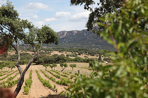 曼萨纳雷斯-埃尔雷亚尔城堡