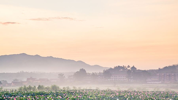 中国莲花第一村