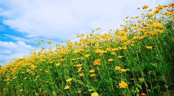 三千漓中国山水人文度假区