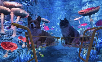 元宇宙·喵星球（西安印象城）