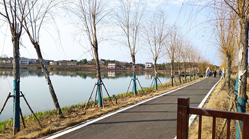 湖北咸宁向阳湖国家湿地公园