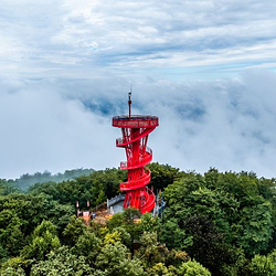 朱雀山国家森林公园