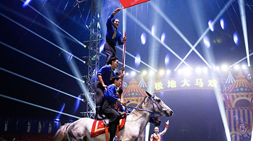 天津极地海洋公园欧洲大马戏