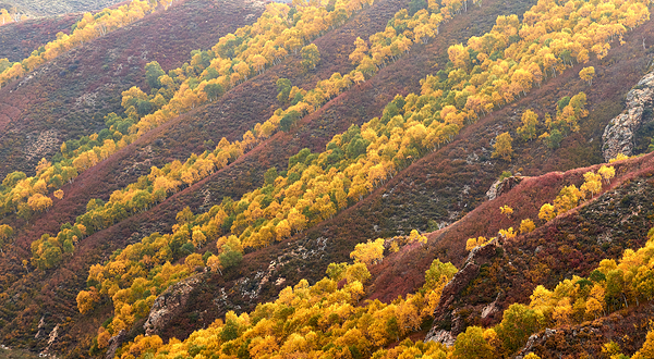 马鞍山景区