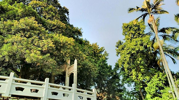 茂林旅游风景区