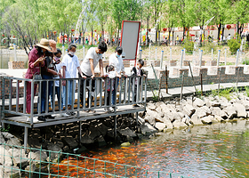 卧龙湾康养小镇